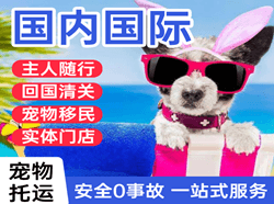 阿拉尔塔里木空运国际宠物托运 【国